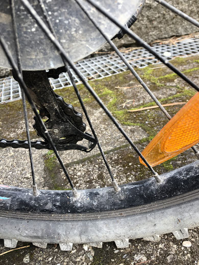 fahrrad.jpeg