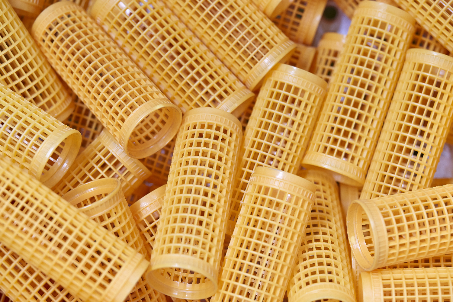 koch9587-1500x1000px.jpg